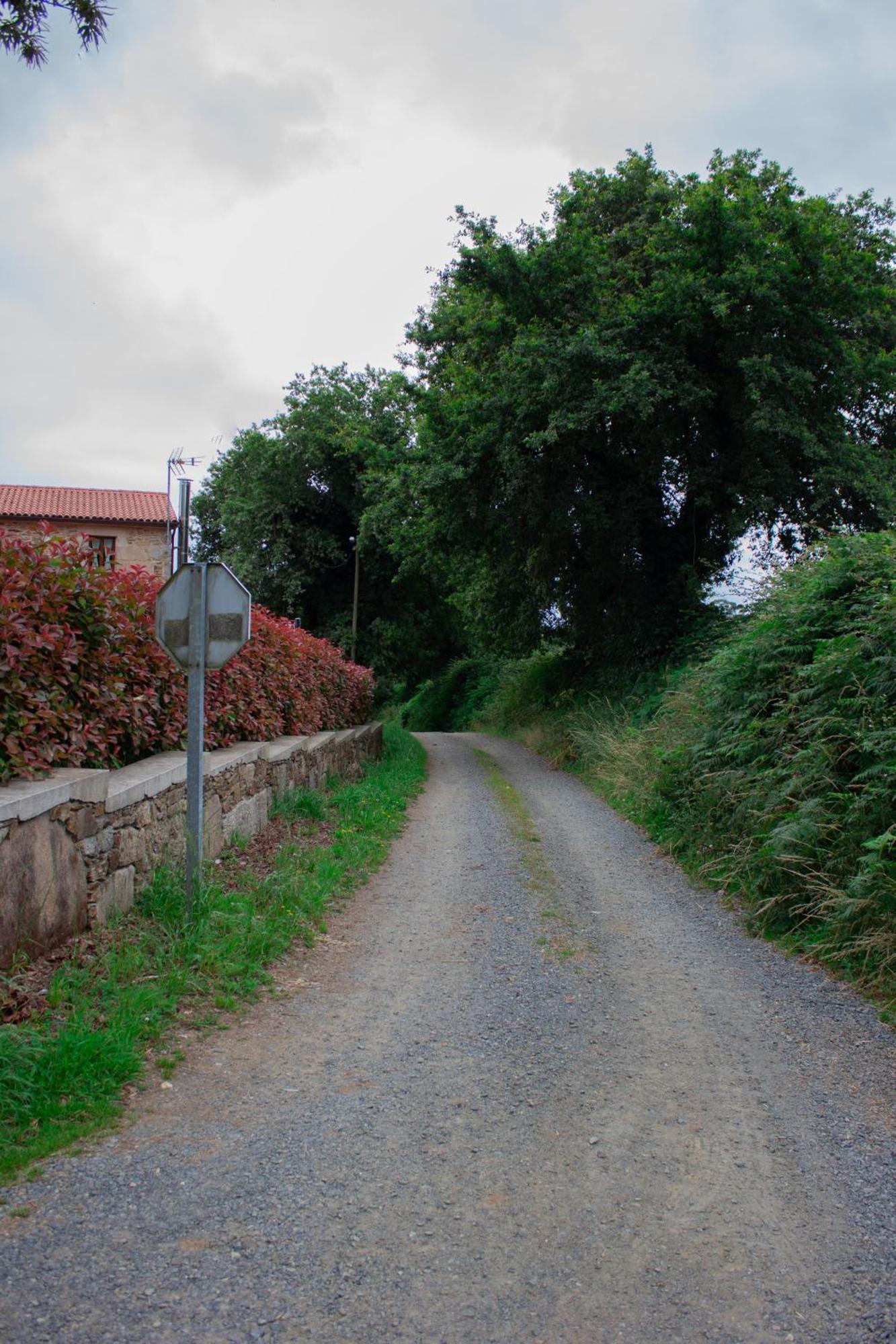 Casa Rural Camino Real Guest House Melide Exterior photo